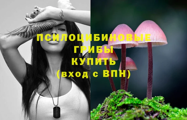 экстази Алексеевка
