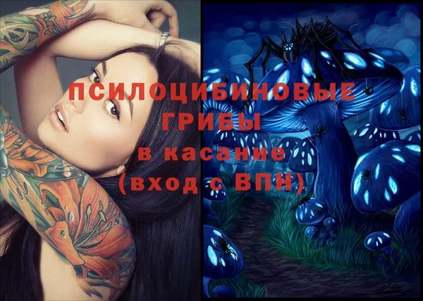 2c-b Абдулино